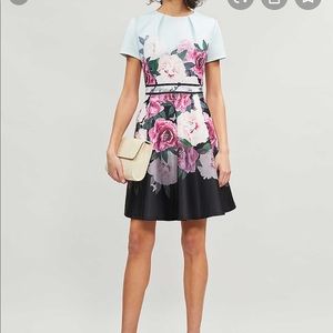 Ted Baker Wilmana magnificent floral skater dress